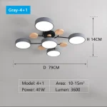 LED Chandelier with 3 Different Colors Suitable for Living Room Bedroom Hotel apartment Study Home Decoration Indoor Lighting 6