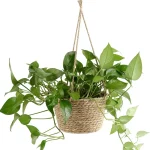 1PC Straw Hanging Basket Planter Twine Woven Flower Basket Rattan Basket Hanging Orchid Pot Pot Hanging Basin 2