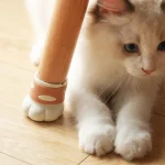 SHIMOYAMA Chair Leg Caps Silicone Furniture Table Feet Covers Socks Floor Protector Non-slip Cat Claw Foot End Pads Home Decor 4