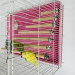 Parrot Pet Raw Standing Stick Wood Hanging Stand Rack Toy Sticksstand Parakeet Branch Perches For Bird Cage Bar Pet Supplies 3
