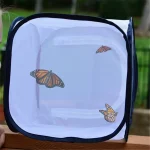Butterfly Habitat Insect Cage Mesh Butterfly Cages Pop-up Collapsible Insect Mesh Cage Plant Greenhouse Box Plant Net Cloth 2