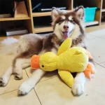 Cute dog Toy Stomping Duck Bite Resistant Grinding Teeth Cleaning Large Dog Interactive Entertainment Puppy Boredom Plush Toy 3