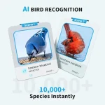 Outdoor Bird Feeder with Camera and Bird Bath Dual-Lens 2K HD Video AI Identification Solar Powered Instant Alerts IP66 Weather 3