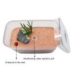 Highly Moisturizing Ant Farm Plaster Ant Nest Insect Box with Workshop Pet Anthill Castle Natural Ecological Ant House 12*6*10cm 4
