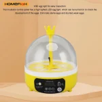 Mini Egg Incubator for Home Automatic Temperature Humidity Control 4 Eggs Candler Poultry Hatching Machine for Chickens Ducks Pi 6