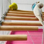 Parrot Pet Raw Standing Stick Wood Hanging Stand Rack Toy Sticksstand Parakeet Branch Perches For Bird Cage Bar Pet Supplies 2