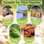Turtle Bathing Pool Feeding Dish Durable Reptile Water Bowl for Box Turtles Frogs and Pets Easy to Clean Habitat Accessory 3