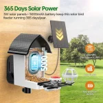 Solar-Powered Smart Bird Feeder with Camera: 2K HD Live View, AI Bird ID, Weatherproof Design for Outdoor Bird Watching 3