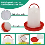 3kg+3L Poultry Feeder And Waterer Water Food Dispenser Automatic Chicken Birds Chick Waterer Feeding Bucket Container Supply 4
