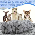 Soft Fluffy High Quality Pet Blanket Cute Cartoon Pattern Pet Mat Warm and Comfortable Blanket for Cat Dogs 2