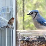 Acrylic Bird Feeder Clear Window Outside Hanging Bird Feeder House with Suction Cup for Garden Outdoor Backyard Wildlife Birding 4