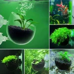 Acrylic Aquatic Plant Cup Aquarium Fish Tank Glass Plant Pot with suction holder Feeding Container Stand for Aquarium Lanscape 5