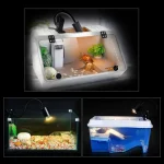 1-20PCS 25/50/75W UVA+UVB Reptile Lamp Bulb Turtle Basking Heating Light UV Light Bulbs Full Spectrum Sunlamp for Amphibians 4