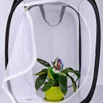 Butterfly Habitat Insect Cage Mesh Butterfly Cages Pop-up Collapsible Insect Mesh Cage Plant Greenhouse Box Plant Net Cloth 4