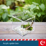 House-Shaped Acrylic Reptile Breeding Box | Transparent Pet Habitat for Spiders, Lizards & Insects | Magnetic Door & Breathable 3