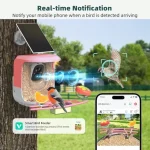 Smart Bird Feeder with Camera Solar Powered - 2K HD Video Camera AI Identify Birds Send Real-time Notifications and Instant Arr 3