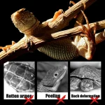 Reptile heating lamp holder UVA UVB Light Rotatable Basking Spot Light Simulated Sunlight For Turtle Lizard Dimmable 220-240V 6