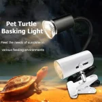 1-20PCS 25/50/75W UVA+UVB Reptile Lamp Bulb Turtle Basking Heating Light UV Light Bulbs Full Spectrum Sunlamp for Amphibians 3