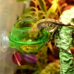 Arboreal Reptile Live Anti-escape Sucker Feeder Chameleon Food Basin Wall Double Layer Plastic Bowls for Small Animals D9210 2