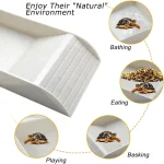 Turtle Bathing Pool Feeding Dish Durable Reptile Water Bowl for Box Turtles Frogs and Pets Easy to Clean Habitat Accessory 2