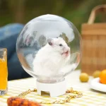 Transparent Sphere Pet Carrier with Gold and White Straps Portable Outdoor Breathable Travel Carrier for Hamster Guinea Pig Rept 6