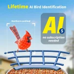 Smart Bird Feeder with Camera: AI Identifies Species, No Subscription, Solar Powered, 2K HD Video & Alerts 2