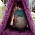 Pet Bird Parrot Cages Warm Hammock Hut Tent Fashion Bed Hanging Cave for Sleeping and Hatching Cage Decoration 2
