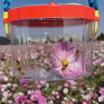 Novel Insect Observation Box Outdoor Collection Telescope Tadpole Butterfly Silkworm Biological Experiment Capture Tool 3
