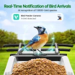 Solar-Powered Smart Bird Feeder with Camera: 2K HD Live View, AI Bird ID, Weatherproof Design for Outdoor Bird Watching 2