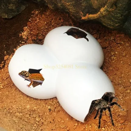 AXYC Reptiles Cave Egg for Shell Hiding Cave Hollow-out Insects Cave for Spider Tarantula Iguana Lizard Tortoise Habitat Aqua