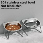 Stainless Steel Pet Bowl Slanted Anti Cervical Spondylosis for Cats and Dogs Dual Use Feeder 4