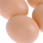 6/12/18/24pcs Plastic Eggs Chicken House Small Fake Eggs Farm Animal Supplies Cages Accessories Guide Chicken Nest Egg Painting 4