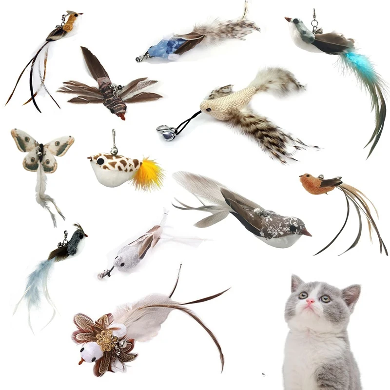 Funny Bird Feather Cat Wand With Bell Accessories Interactive Toys For Cats Kitten Hunting Teaser Exercise Pet Products Funny Bird Feather Cat Wand With Bell Accessories Interactive Toys For Cats Kitten Hunting Teaser Exercise Pet Products
