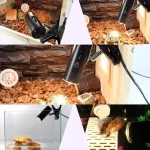 25/50/75W UVA+UVB Reptile Lamp Bulb Turtle Basking UV Light Bulbs Heating Light Full Spectrum Sunlamp for Amphibians Pets Snake 5