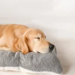 Extra Large Plush Dog Bed Sofa Thickened Super Soft Polyester Pet Mat Dog Crate Mat Bed For Small Medium Large Dog Bed 5