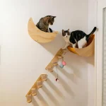 Cat Wall Hiding House Hammock Climbing Shelves Moon Perches Bed Ladder Solid Wood Steps For Activity Indoor Cats Wall Furniture 3