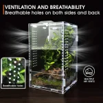 Acrylic Jumping Spider Enclosure Buckle Lock Escape Proof Reptile Feeding Tank Ventilated Transparent Reptile Habitat 5