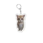 Funny Cat Memes Series Keychain Student Gift Bag Lanyard  Women's Bag Pendant Keychain Cute Things Cheap Gift For Best Friends 2