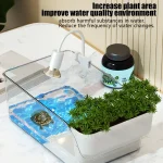 Turtle Tank with Basking Area, Transparent Reptile Terrarium Habitat for Pet Turtles, Hermit Crabs, Tortoise Adoption 2