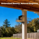 Smart Bird Feeder with Camera, Solar Powered, 2K HD Live Stream, AI Recognition for Bird-Watching & Learning 3