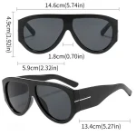 New Trendy Oversized Large Frame Y2K Cat Eye Sunglasses for Women Vintage Retro Oval Gradient Sunglasses UV400 Decoration Shades 6