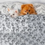 Winter Soft Dog Blanket Washable, Cat Blanket for Indoor Cats Mat Large Medium Small Dog Gifts Puppy Essentials (Grey) Bed 3