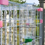 1 PC 1000ml Random Color Small Animals Drinker Auto Drinking Hangable Water Bottle for Rabbit Guinea Pig Parrot Rabbit Feeder 5