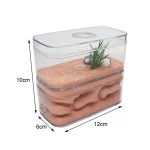 Highly Moisturizing Ant Farm Plaster Ant Nest Insect Box with Workshop Pet Anthill Castle Natural Ecological Ant House 12*6*10cm 3