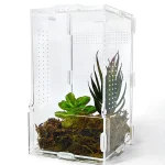 Acrylic Jumping Spider Enclosure Buckle Lock Escape Proof Reptile Feeding Tank Ventilated Transparent Reptile Habitat 2