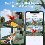 Smart Dual-Camera Bird Feeder & Bath with WiFi, 2K HD Video, AI Recognition, Solar Power for Garden 3