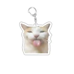 Funny Cat Memes Series Keychain Student Gift Bag Lanyard  Women's Bag Pendant Keychain Cute Things Cheap Gift For Best Friends 6