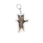 Funny Cat Memes Series Keychain Student Gift Bag Lanyard  Women's Bag Pendant Keychain Cute Things Cheap Gift For Best Friends 3