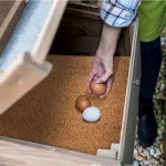 Eco-Friendly Coconut Coir & Palm Fiber Chicken Nesting Pads - Reusable Hens Bedding Mats for Egg Laying, Durable Poultry Coop 6