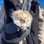 1Pc Dog out backpack,Dog Sling Carrier Breathable Mesh Travel Crossbody Bag For Puppy Cat Hiking Camping 4